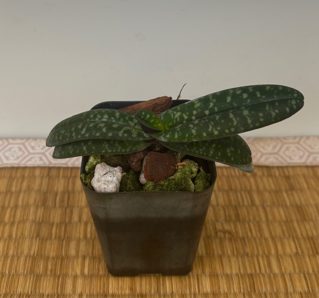 08adca22-05e1-4a33-a763-d69208b65688