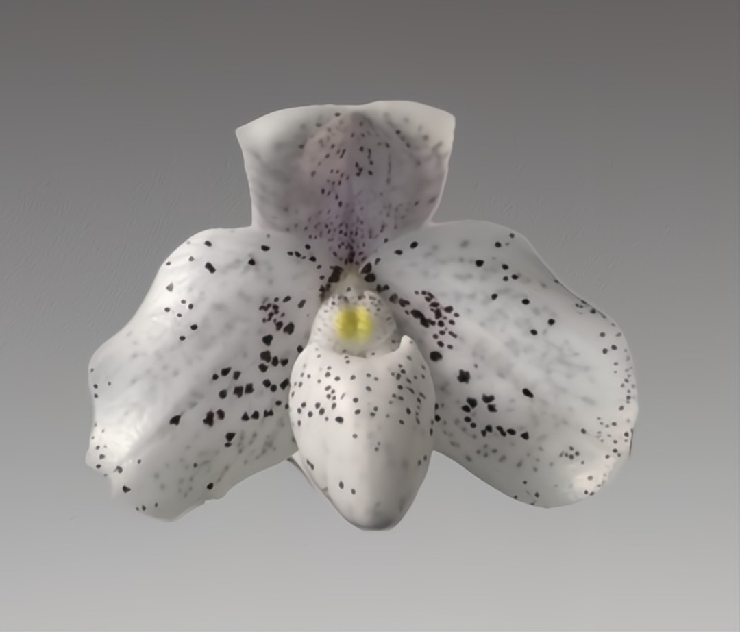 636d58c3-7dbf-475c-b907-bc842fbac138