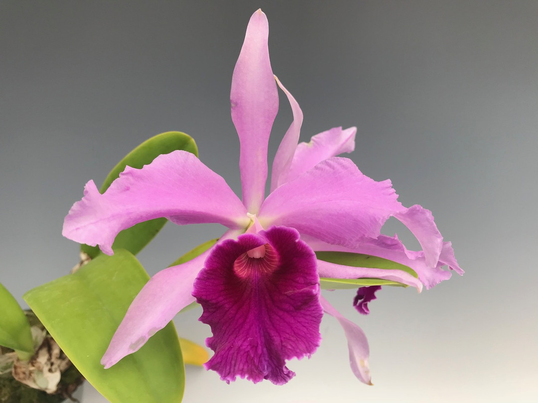 9bd5f778-4919-46ca-98d7-e84971e9784b